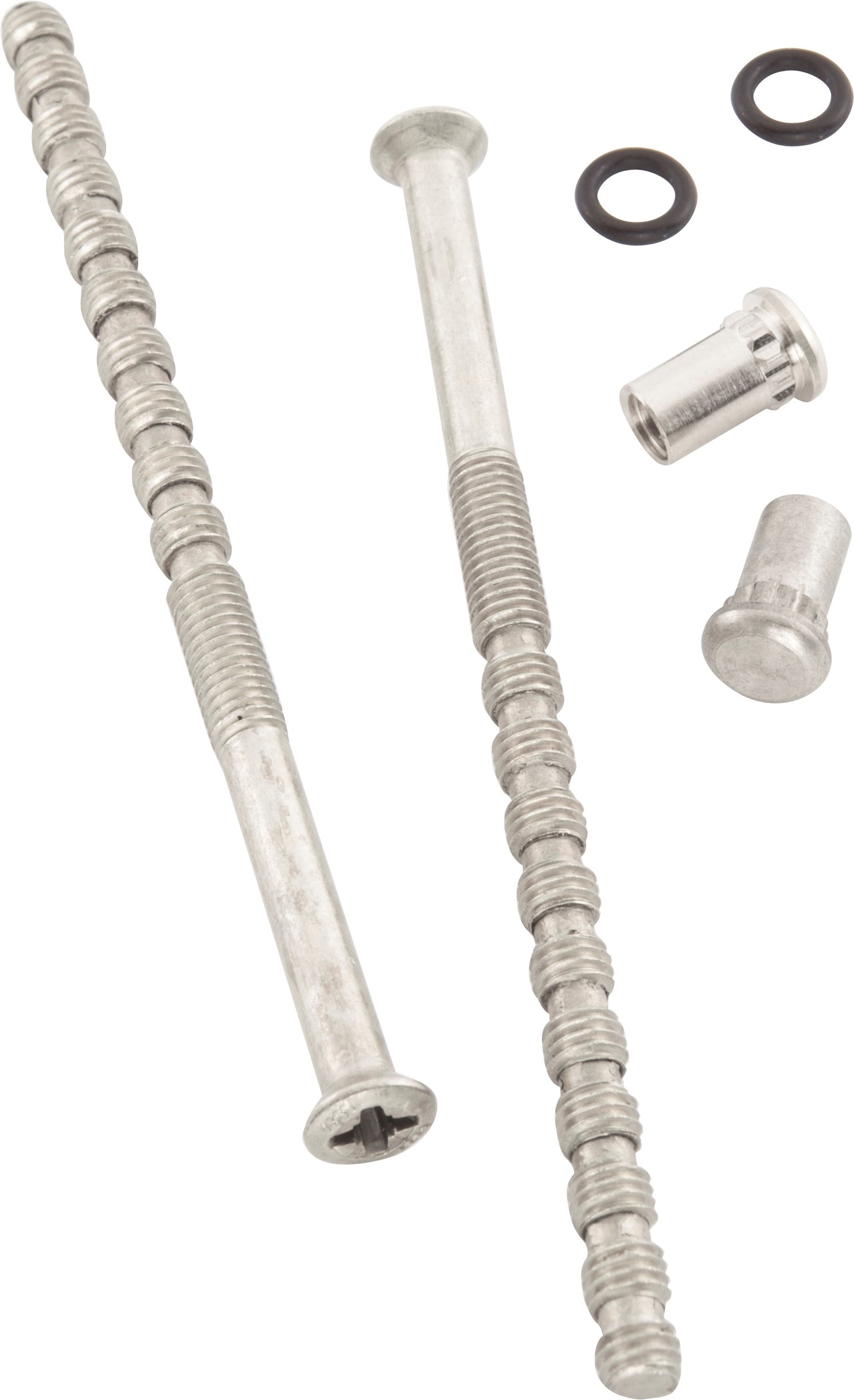 Image: No description