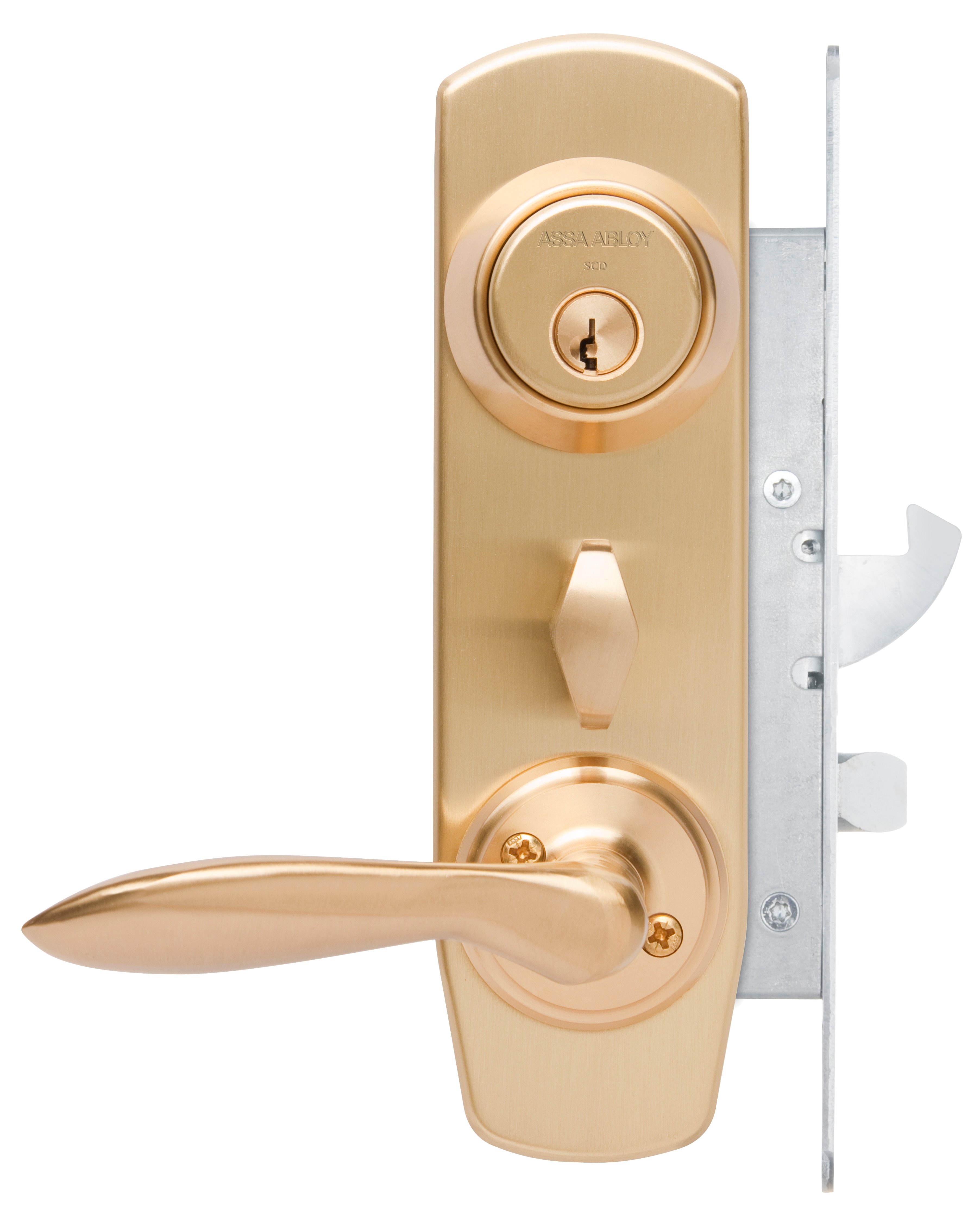 Image: No description