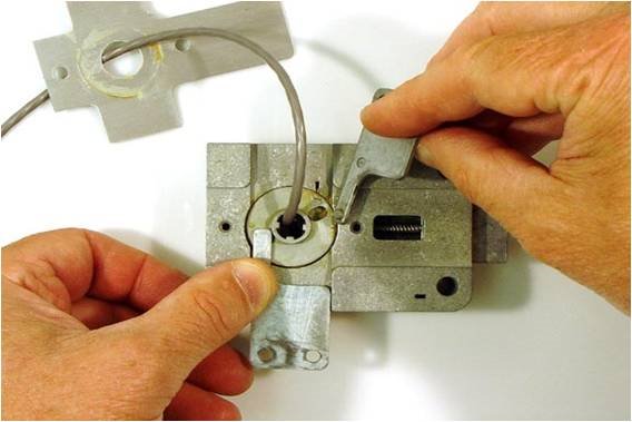 Image: No description