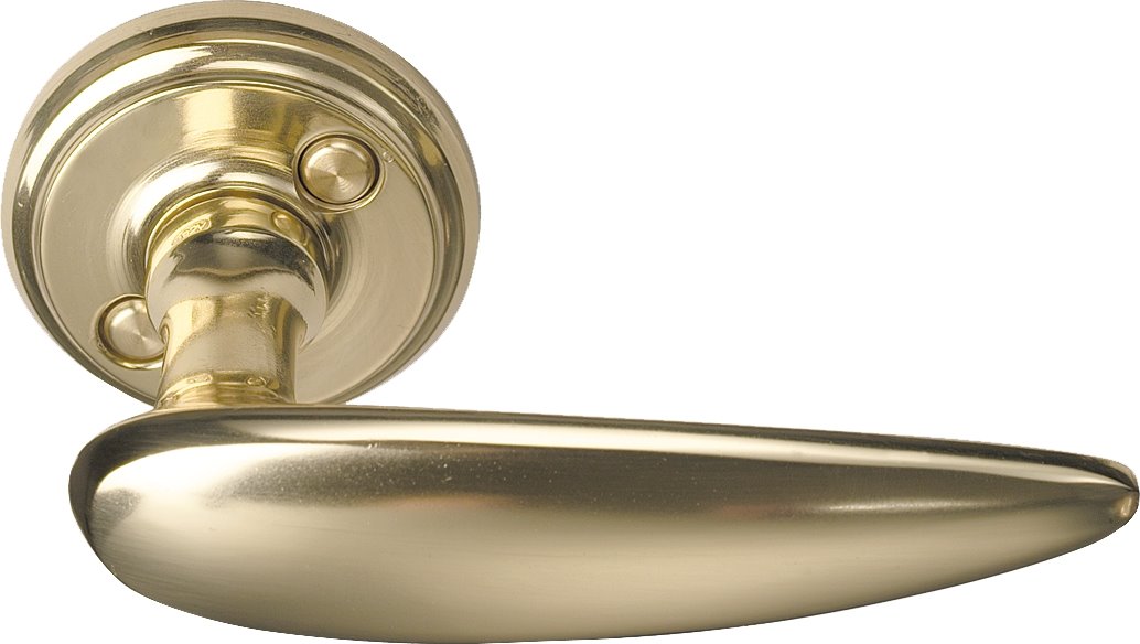 Image: No description