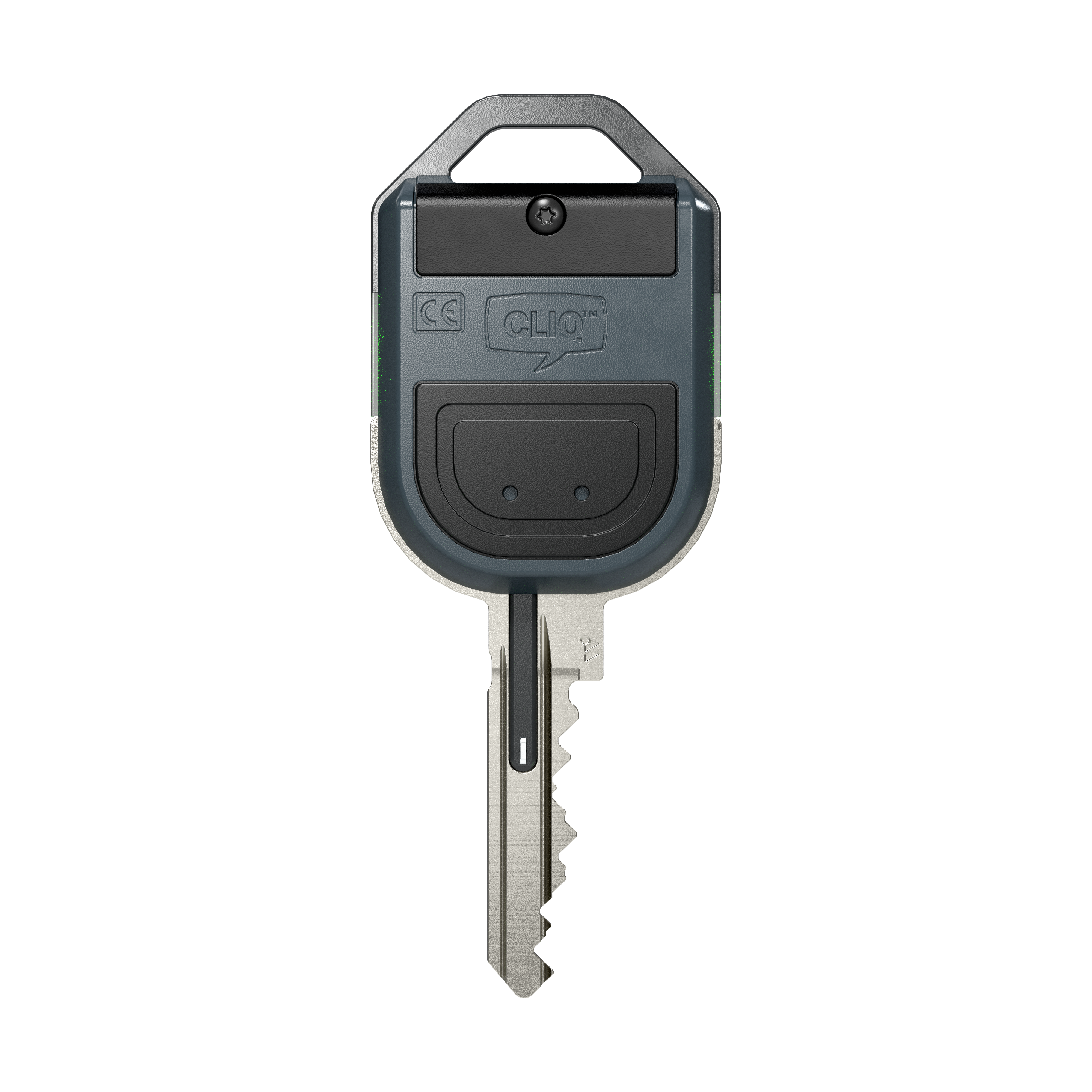 Image: No description